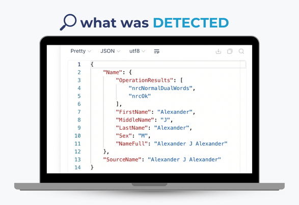 Name parser with anomaly detection